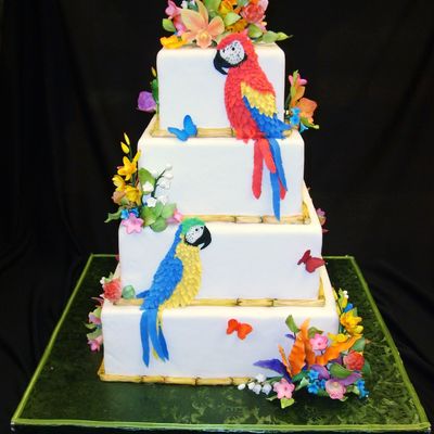 Parrot Paradise