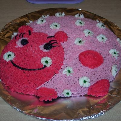 Pink Lady Bug Cake