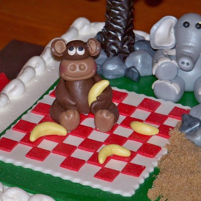 Animals