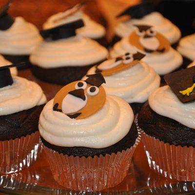 Owl Graduation Cupcakes
