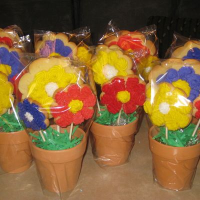 Flower Pot Bouquets