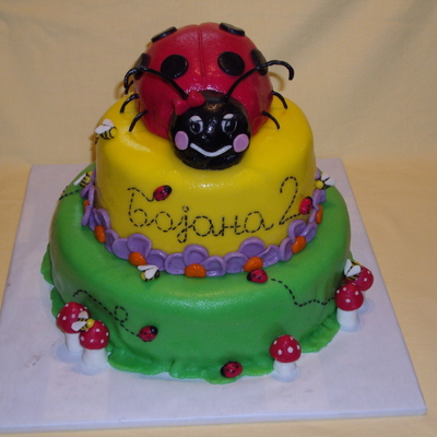 Ladybug