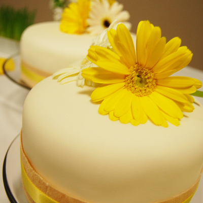 Yellow Daisy Cake