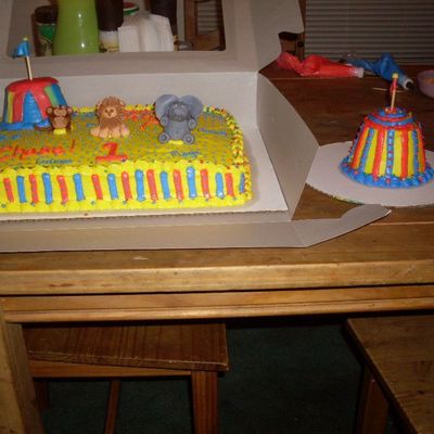Circus Cake Order W/smash Cake...