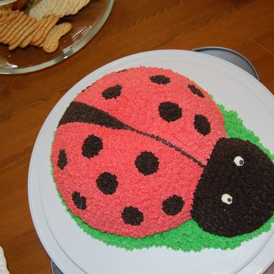 Lady Bug Cake