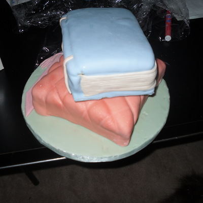 My Second Attempt, Stepmom's Birthday Cake