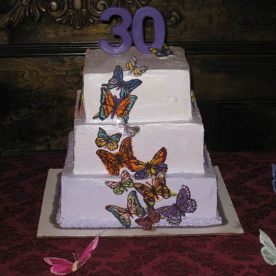 Butterfly Cake