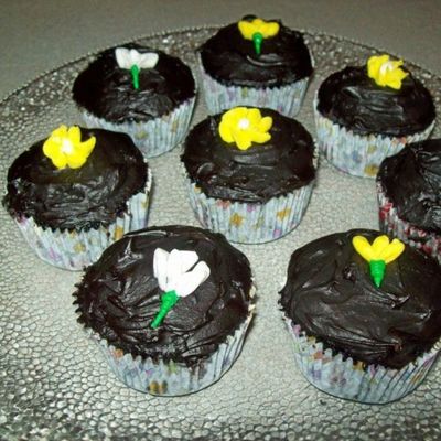 Dr. Chocolate Cuppies!!!