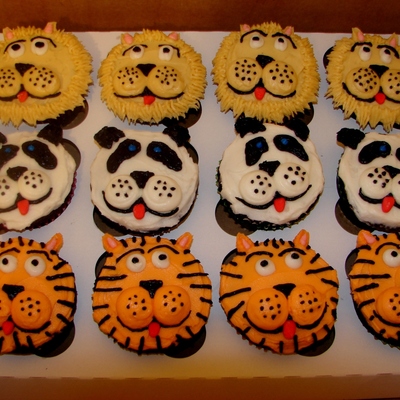 Zoo Animals