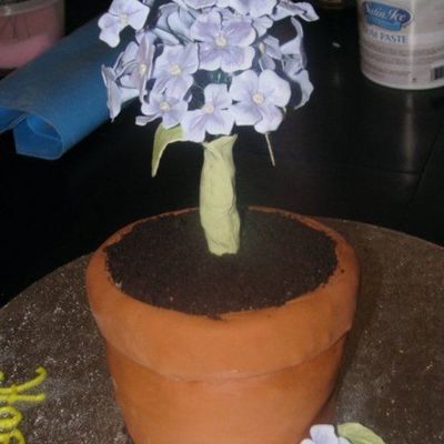 Flower Pot Cake