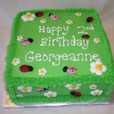 Ladybugs In The Grass 2Nd Birthday