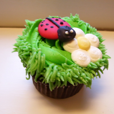 Ladybug & Daisy Cupcakes