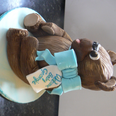 A Wlecome Teddy For A New Born