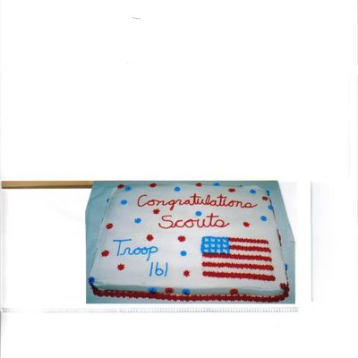 Boy Scout Troop Cake