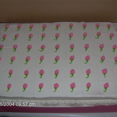 Graduation Sheet Cake