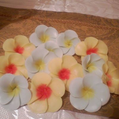 Fondant Plumeria Flowers.