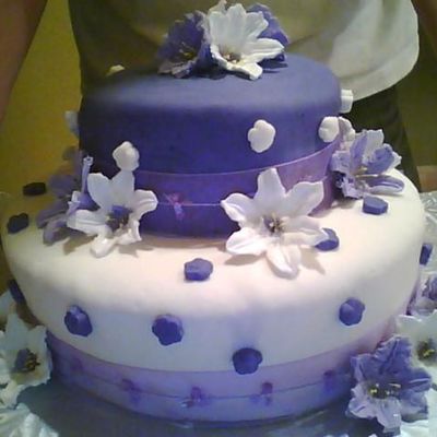 Wilton Course 3 Final Cake