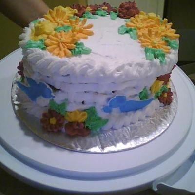 Wilton Course 2 Final Cake