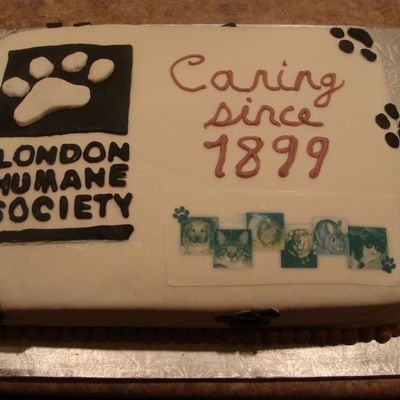 Fondant & Gumpaste Final Cake