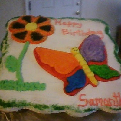 Butterfly Cake