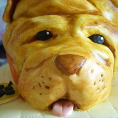 Sharpei Cake For Amanda