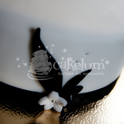Wedding Cake Galicia