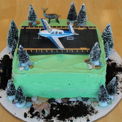 Airplane Cake
