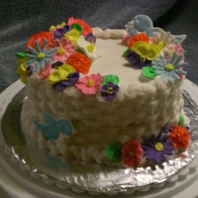 Wilton Class 2 Cake