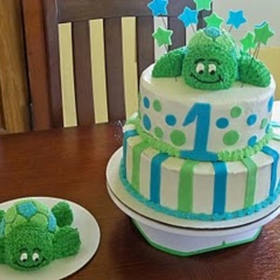 Baby Turtles First Birthday
