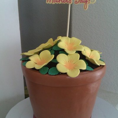 Flower Pot Cake