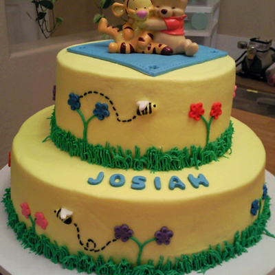 Baby Winnie The Pooh