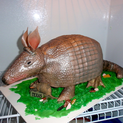 First Animal Cake