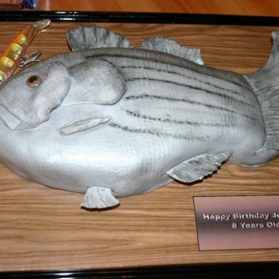Fish Cake
