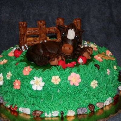 For A Little Horse Lover