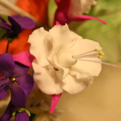 Fuschia & African Violet