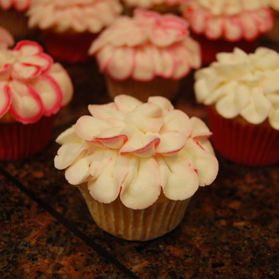 Cupcake Flowers