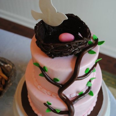 Erin's Birdie Cake