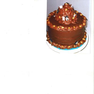 Poop Cake