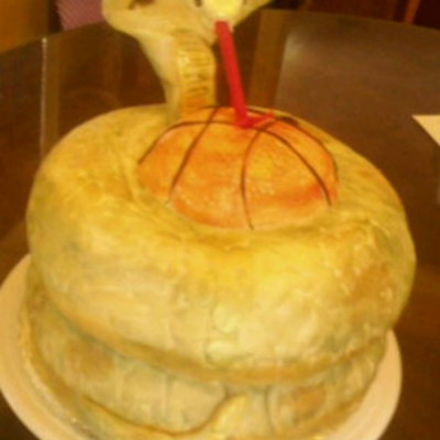 Snake Cake