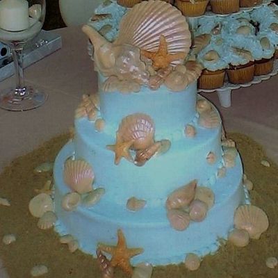 White Chocolate Sea Shell Cake
