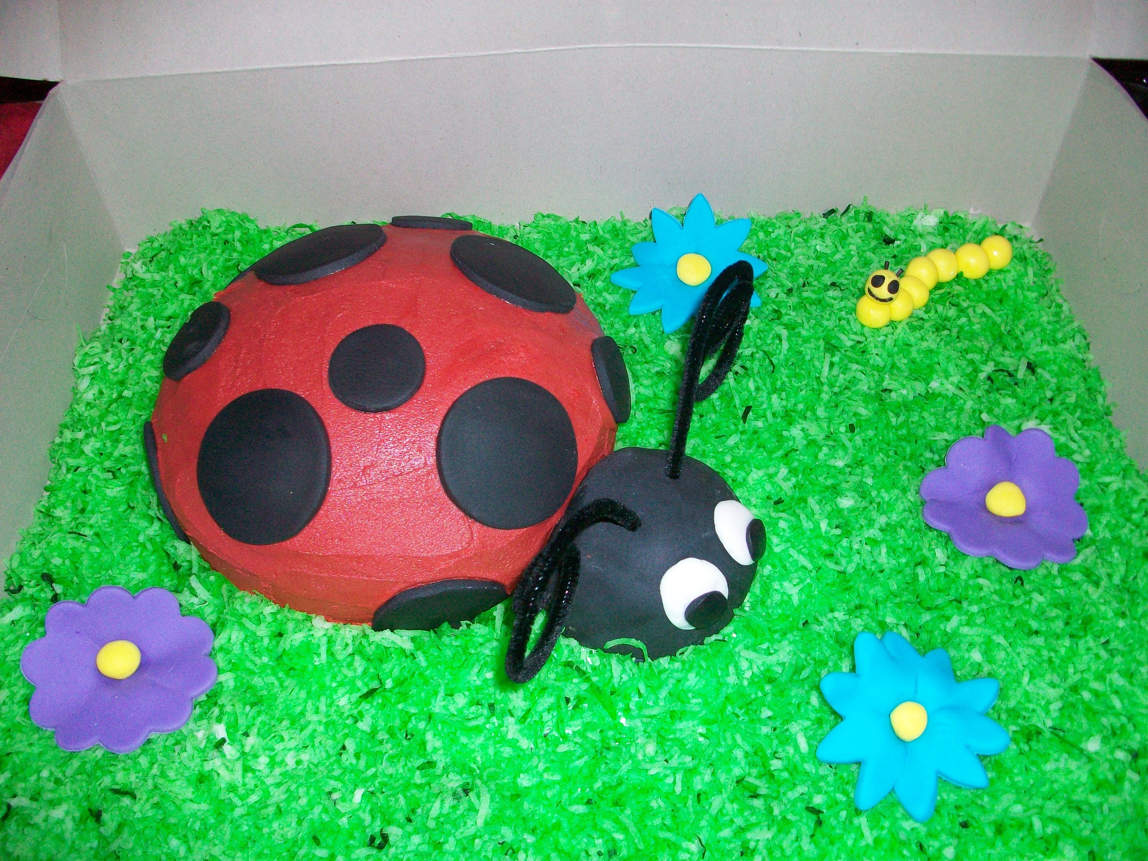Ladybug