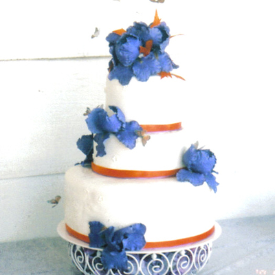 Iris And Butterfly Wedding Cake