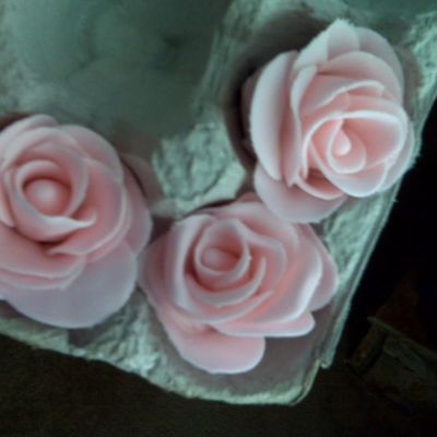 First Roses