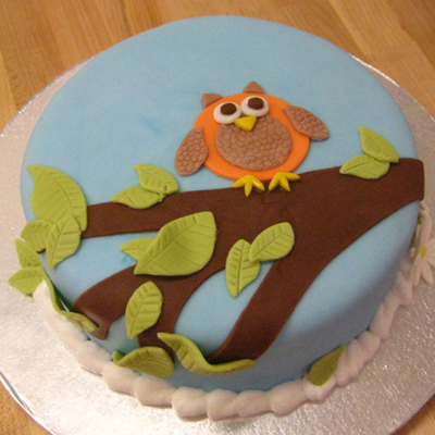 Owl Cake!