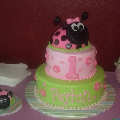 Peyton's First Birthday
