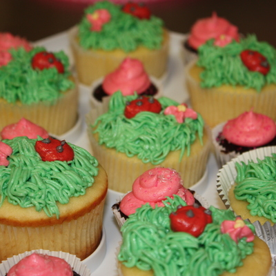 Grass And Ladybug Cupcakes