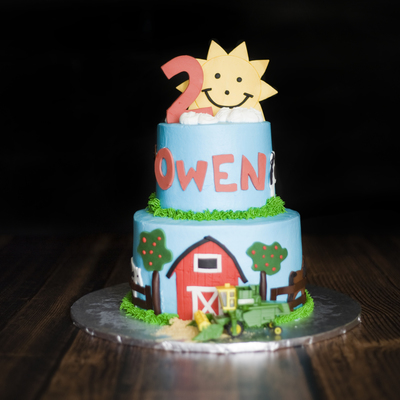 Farm/tractor Birthday Cake