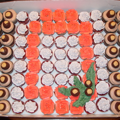 Ohio State Buckeyes Cupcakes