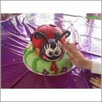 Ladybug Cake