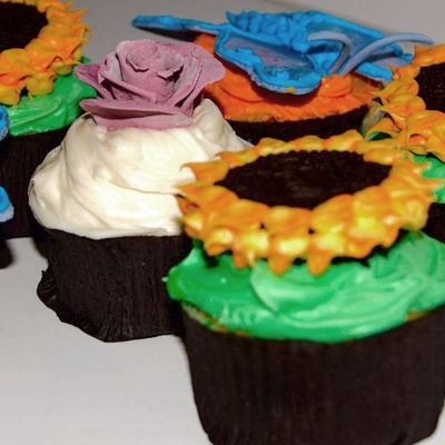 Fun Cupcakes